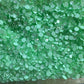 Neons - Live Bling Scoops
